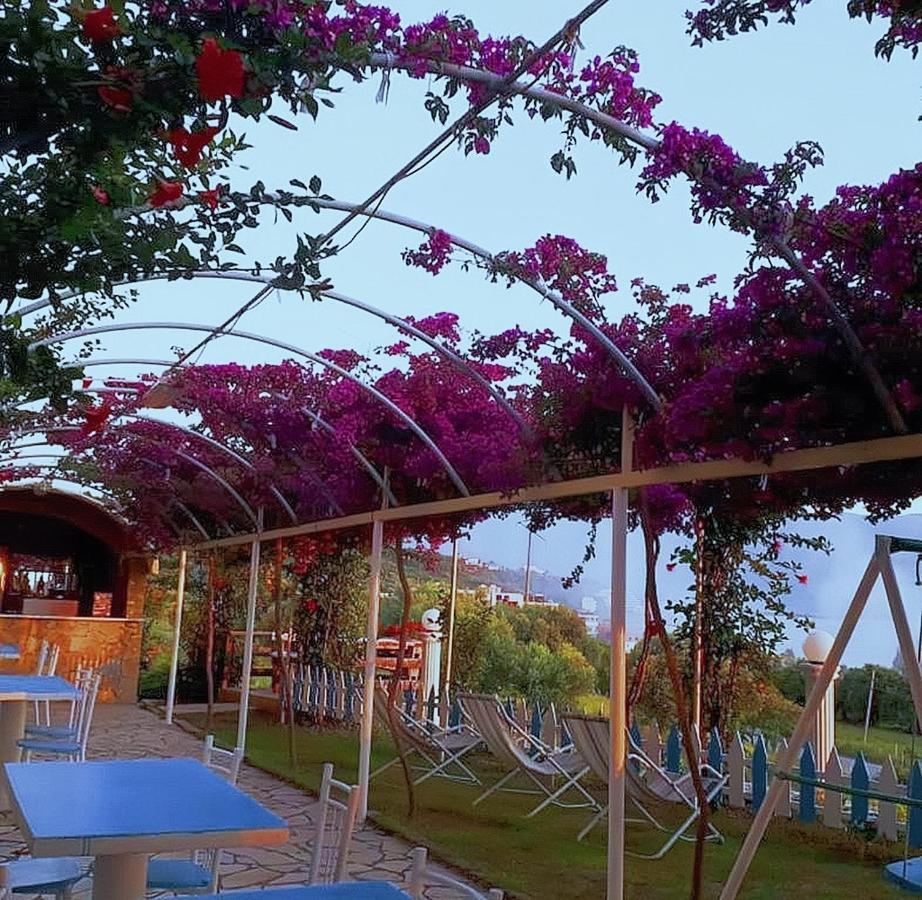 Hotel Sirena Радима Экстерьер фото