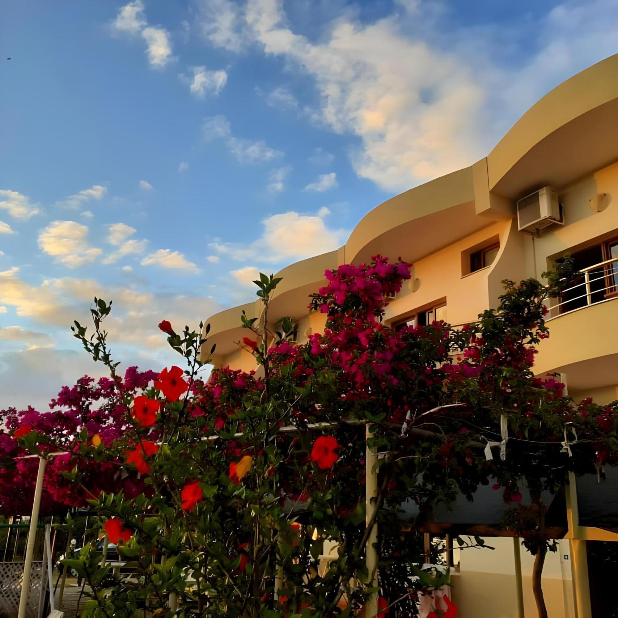 Hotel Sirena Радима Экстерьер фото